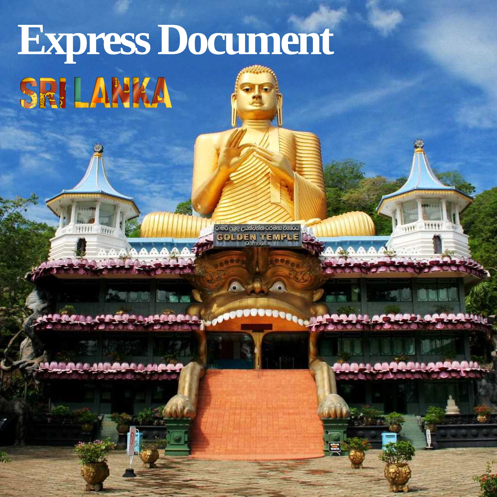 Express Delivery to Sri Lanka